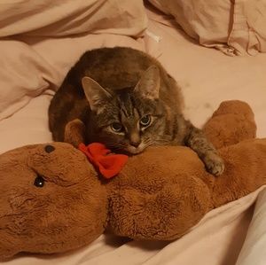 Meet your Posher, Brian